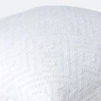 20"x20" Throw Pillow - Dream Snow