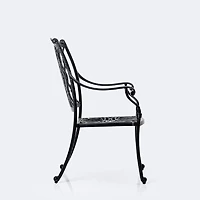 Meghan Armchair - Black Tippet