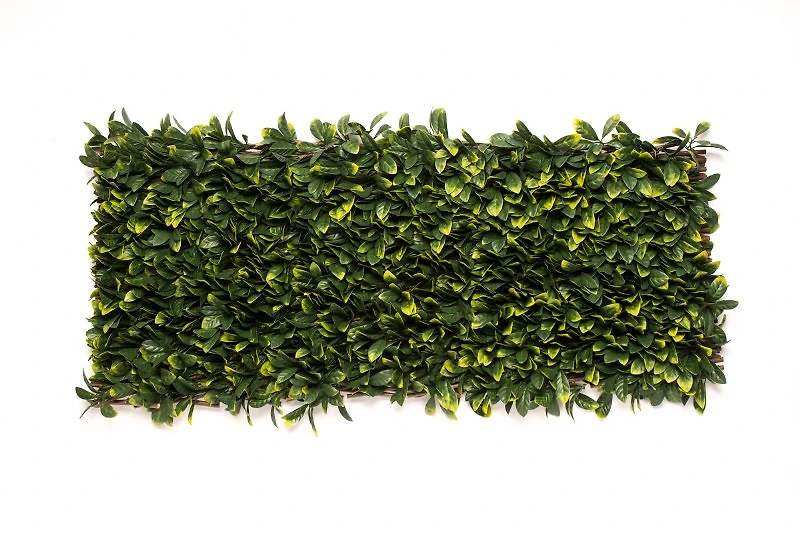 Laurel Willow Trellis