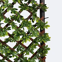 Privacy Screen Set with Trellis