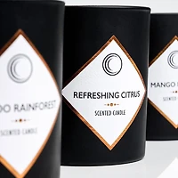 14 oz 3 wick Scented Candle