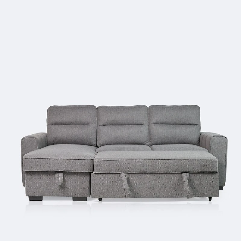 Morris Reversible Sleeper Sectional with Storage Chaise