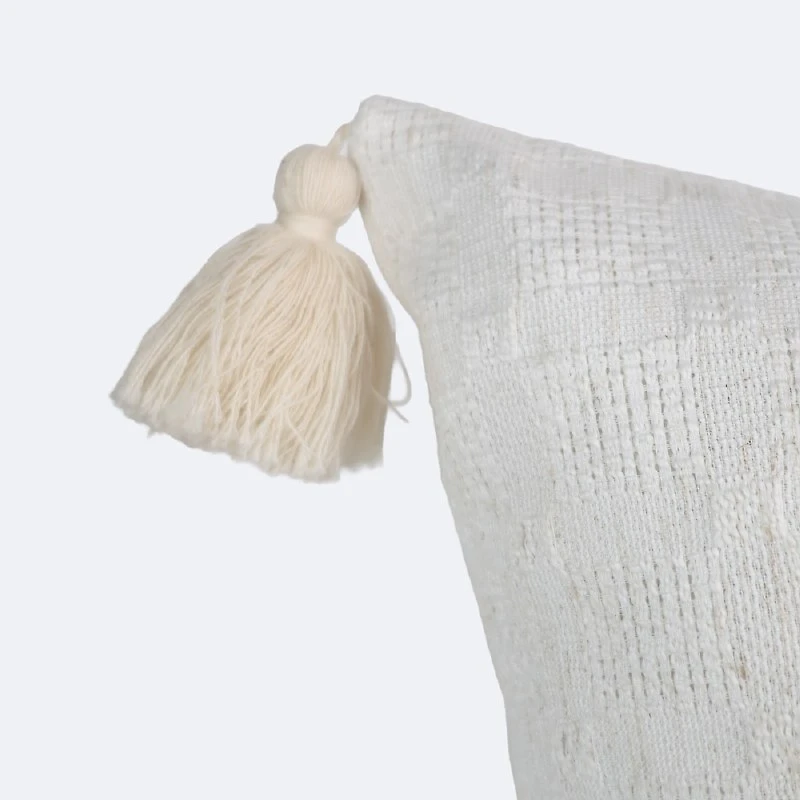 18"x18" Throw Pillow - Beige with Tassels