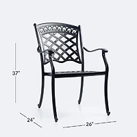 Blanca Armchair - Black Tippet