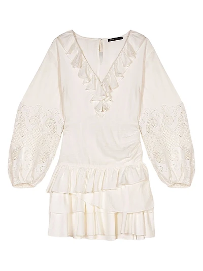 Ruffled Embroidered Sleeve Dress