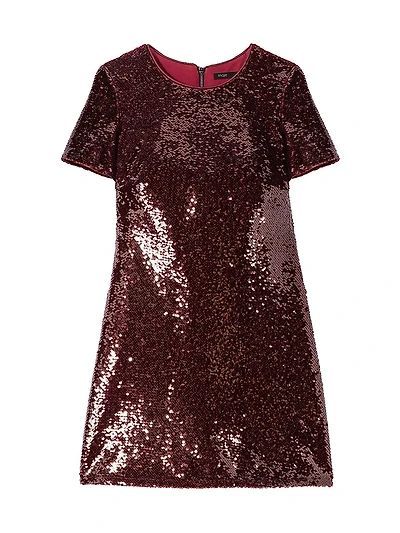 Embroidered Sequin Short Dress