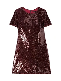 Embroidered Sequin Short Dress