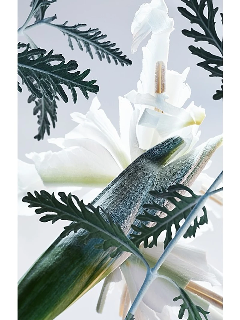 Man Glacial Essence Eau de Parfum