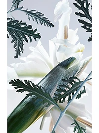 Man Glacial Essence Eau de Parfum