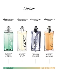 Declaration Parfum