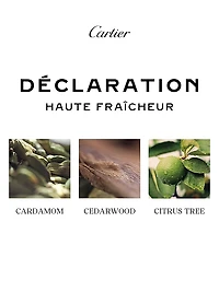 Declaration Parfum