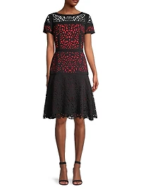 Laser Cut Ombre Dress