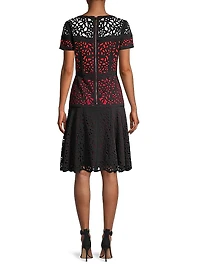 Laser Cut Ombre Dress
