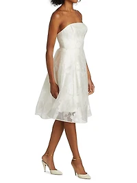 Rose Fil Coupe Fit-&-Flare Dress