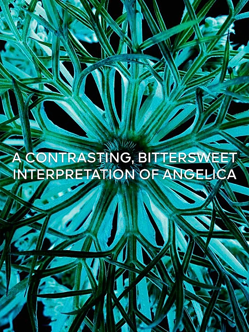 L'Art & La Matiere Angelique Noire Eau de Parfum