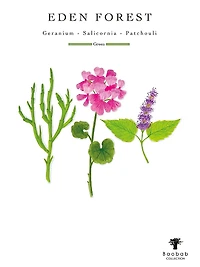 Eden Max24 Forest Candle