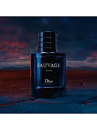 Sauvage Elixir