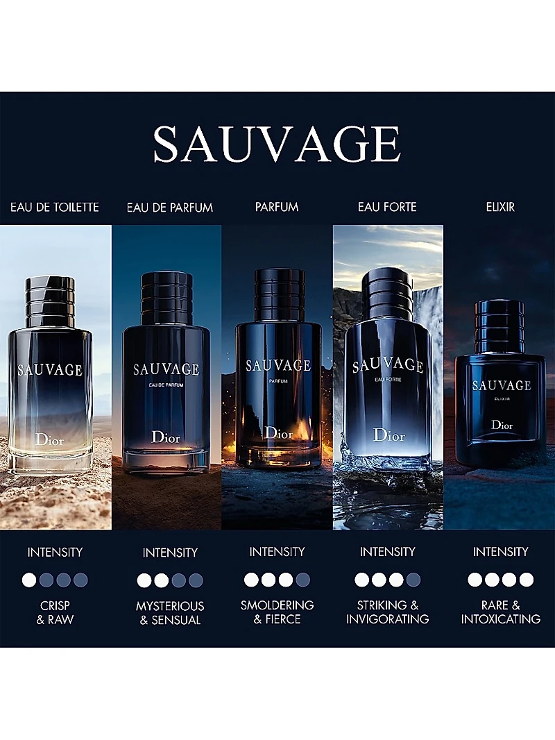 Sauvage Elixir