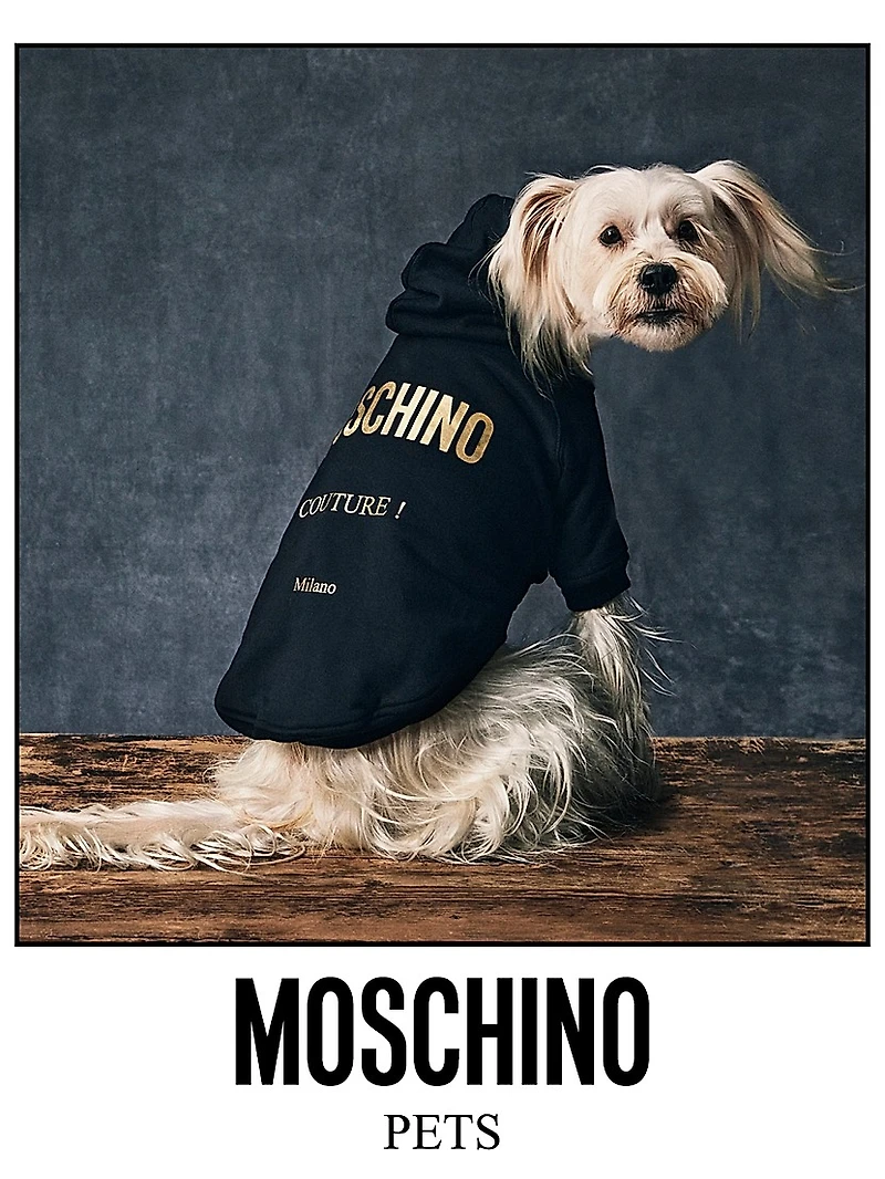 Cotton Logo Dog Hoodie