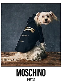 Cotton Logo Dog Hoodie