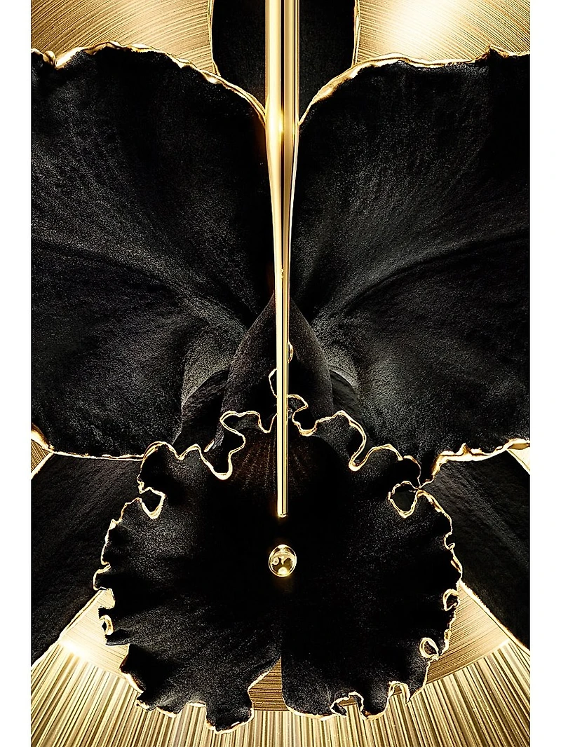 Orchidee Imperiale Black Symbioserum