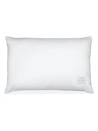 Silk Blend Pillow Insert