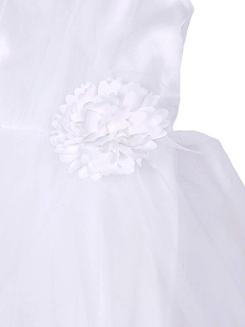 Little Girl's & Girl's Bridget Tulle Pleated Dress