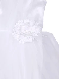 Little Girl's & Girl's Bridget Tulle Pleated Dress