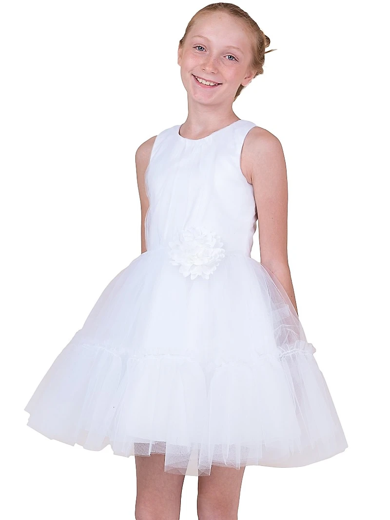 Little Girl's & Girl's Bridget Tulle Pleated Dress