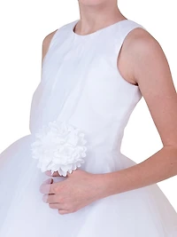 Little Girl's & Girl's Bridget Tulle Pleated Dress