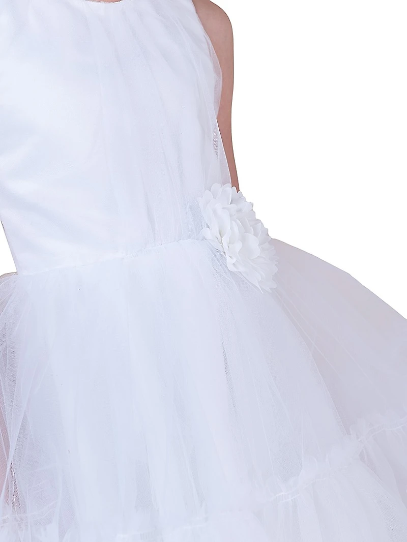 Little Girl's & Girl's Bridget Tulle Pleated Dress