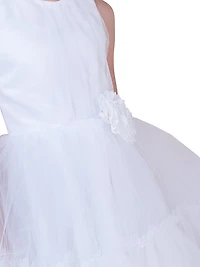 Little Girl's & Girl's Bridget Tulle Pleated Dress