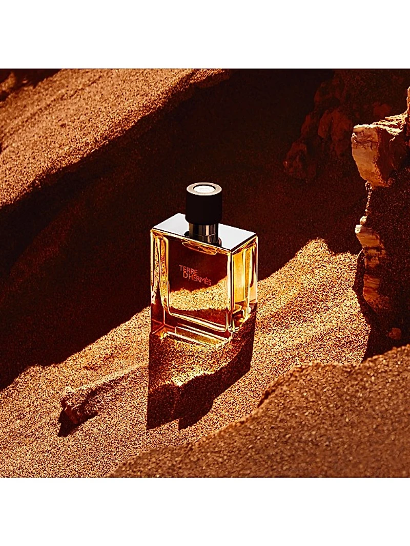 Terre d'Hermès Perfume