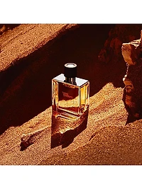 Terre d'Hermès Perfume