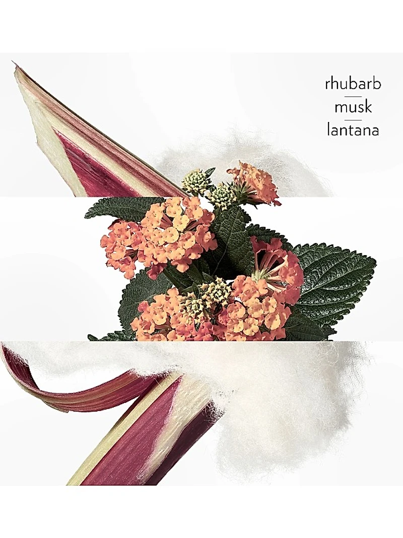 Eau de rhubarbe écarlate Eau de Cologne Spray