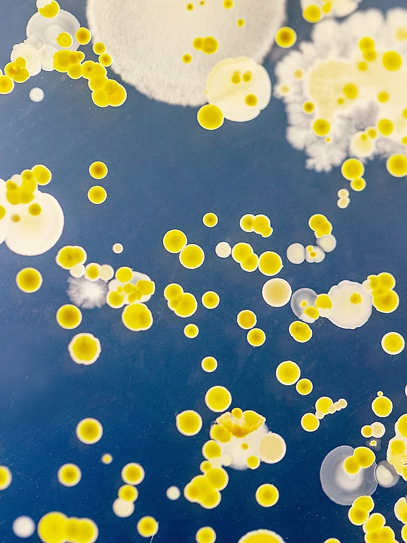 Liposome Advanced Repair Serum