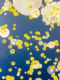 Liposome Advanced Repair Serum