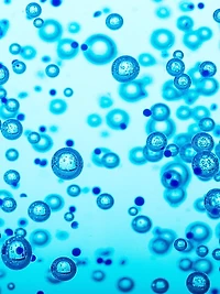 Liposome Advanced Repair Serum