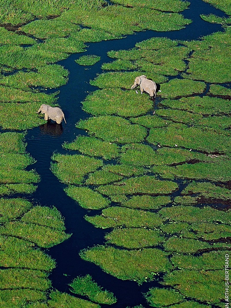 Aqua Allegoria Pamplelune Grapefruit Eau De Toilette