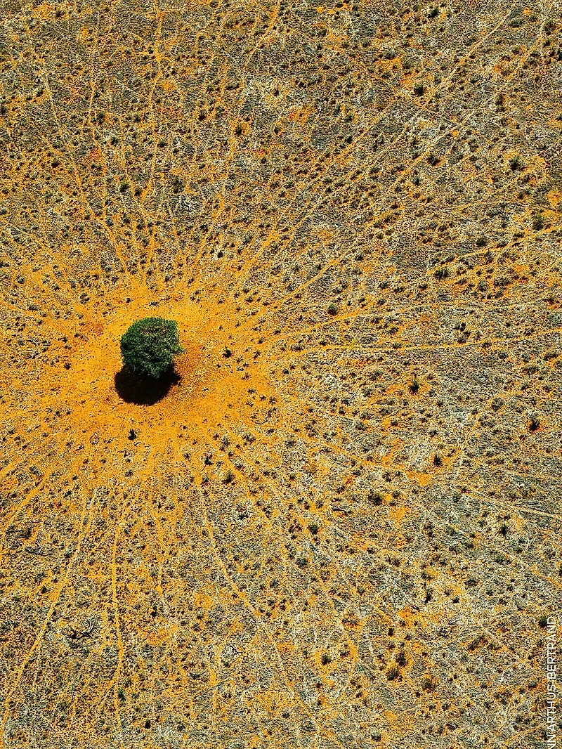 Aqua Allegoria Mandarine Basilic Eau De Toilette