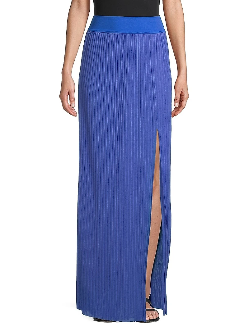 Mia Pleated Mesh Maxi Skirt