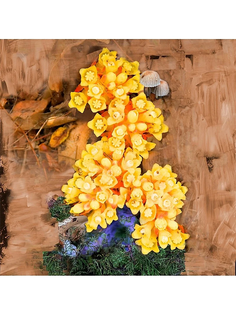 De Los Santos Perfume