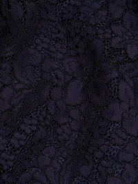 Floral Lace Collared A-Line Gown