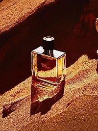 Terre D'hermès Parfum