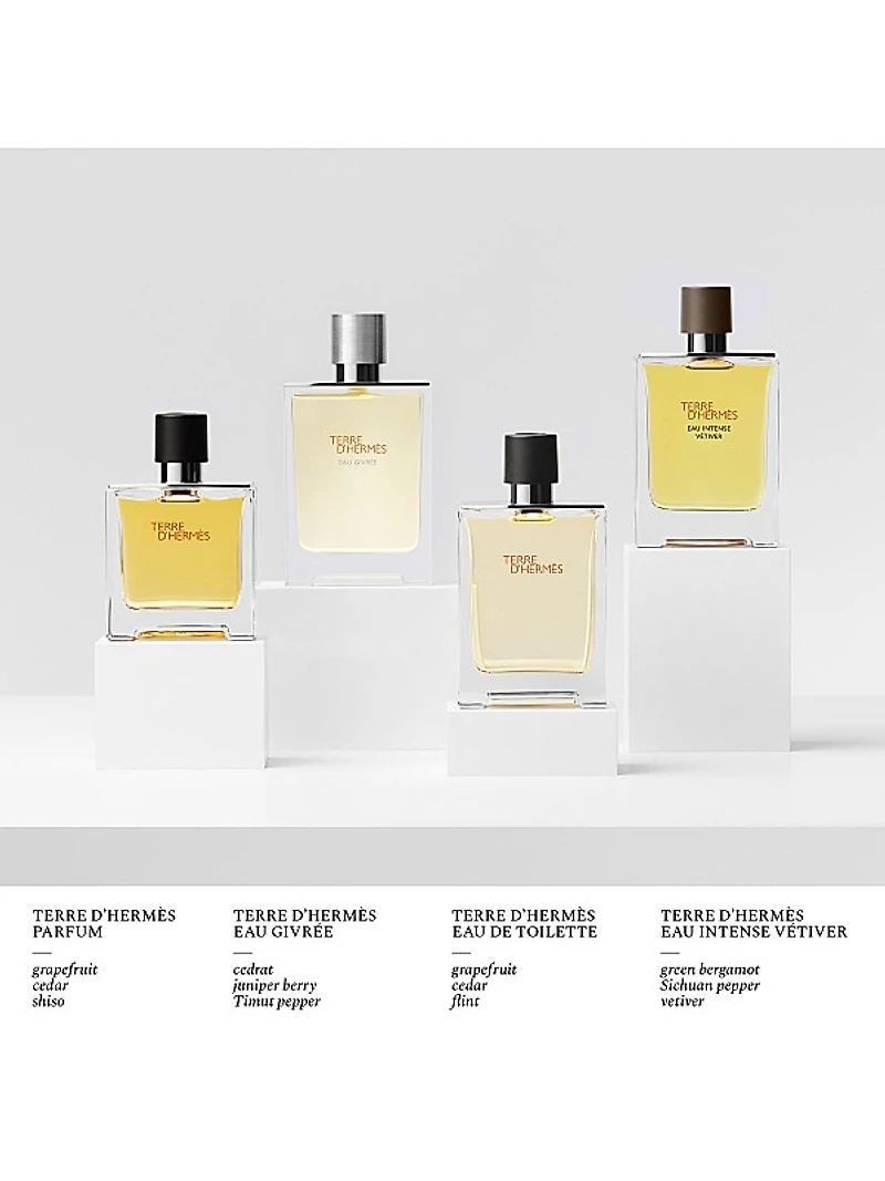 Terre d'Hermes Eau de Toilette