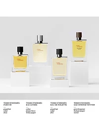 Terre d'Hermes Eau de Toilette
