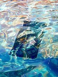 The Absolutes Mystic Experience Eau De Parfum