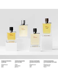 Terre d'Hermès Eau de Toilette