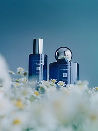 Night Moonlit Chamomile Cologne