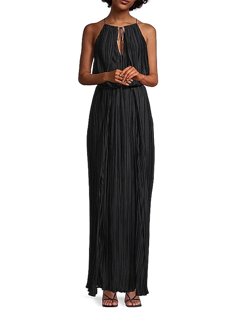 Adeline Pleated Maxi Dress